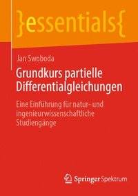 bokomslag Grundkurs partielle Differentialgleichungen