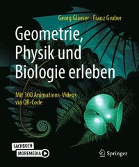bokomslag Geometrie, Physik und Biologie erleben