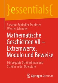 bokomslag Mathematische Geschichten VII  Extremwerte, Modulo und Beweise