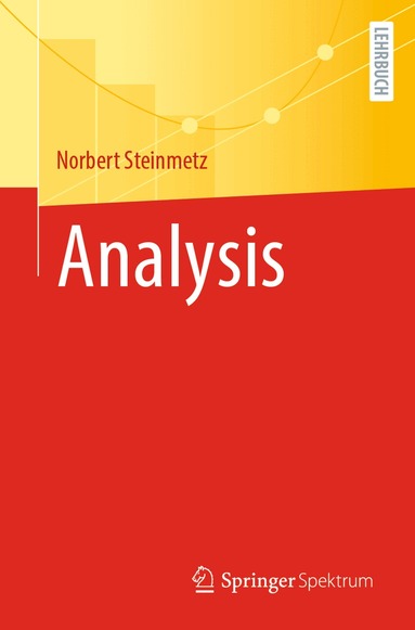Norbert Steinmetz - Analysis, Häftad