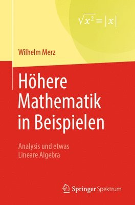 Wilhelm Merz - Höhere Mathematik in Beispielen, Häftad