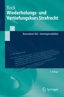 bokomslag Wiederholungs- und Vertiefungskurs Strafrecht