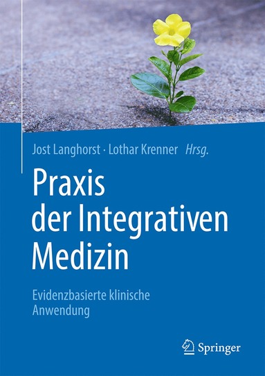 bokomslag Praxis der Integrativen Medizin