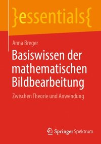 bokomslag Basiswissen der mathematischen Bildbearbeitung