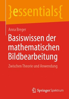 bokomslag Basiswissen der mathematischen Bildbearbeitung