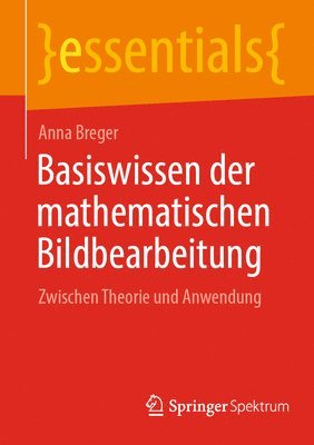 Anna Breger - Basiswissen der mathematischen Bildbearbeitung, Häftad