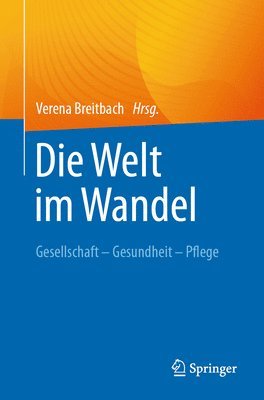 bokomslag Die Welt im Wandel