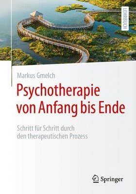 bokomslag Psychotherapie von Anfang bis Ende