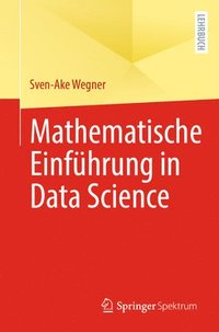 bokomslag Mathematische Einfhrung in Data Science