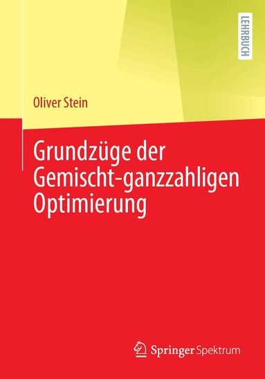 Oliver Stein - Grundzüge der Gemischt-ganzzahligen Optimierung, Häftad
