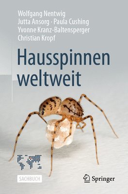 bokomslag Hausspinnen weltweit