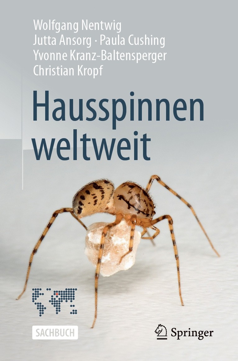 Hausspinnen weltweit 1