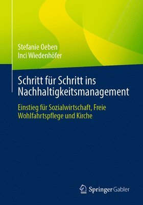 bokomslag Schritt fr Schritt ins Nachhaltigkeitsmanagement