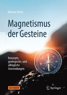 bokomslag Magnetismus der Gesteine