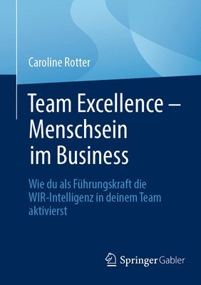 bokomslag Team Excellence  Menschsein im Business