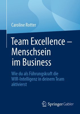 bokomslag Team Excellence - Menschsein im Business
