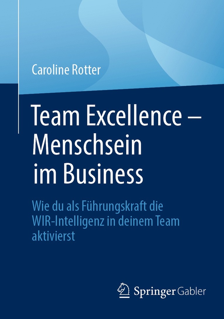 Caroline Rotter - Team Excellence – Menschsein im Business, Häftad