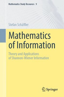 bokomslag Mathematics of Information