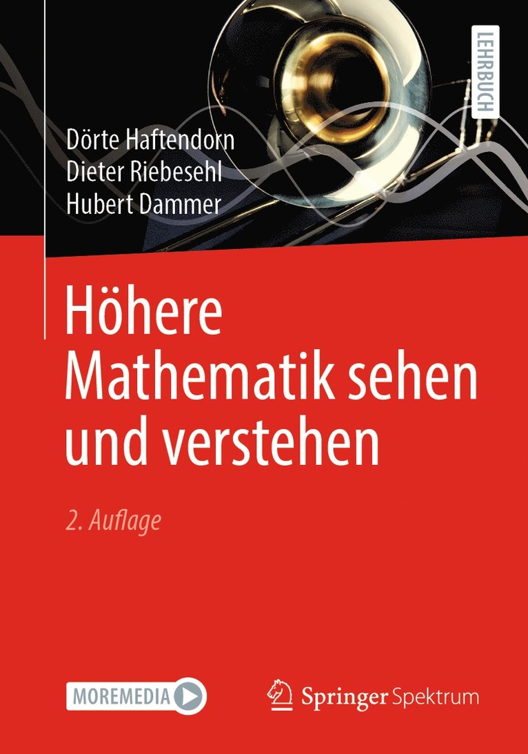 Dörte Haftendorn, Dieter Riebesehl, Hubert Dammer - Höhere Mathematik sehen und verstehen, Häftad