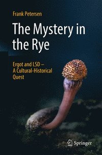 bokomslag Mystery in the Rye