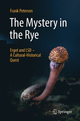 bokomslag Mystery in the Rye