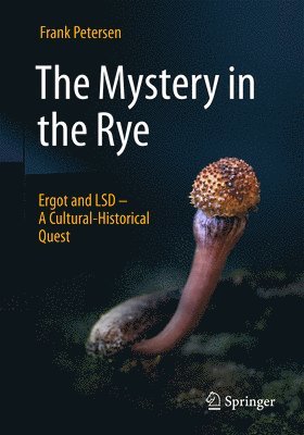 The Mystery in the Rye 1