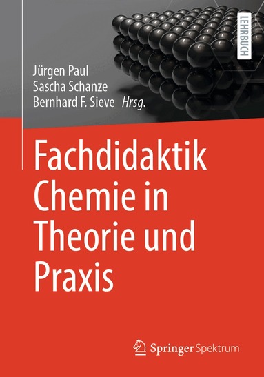 Jürgen Paul, Sascha Schanze, Bernhard F. Sieve - Fachdidaktik Chemie in Theorie und Praxis, Häftad