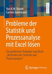 bokomslag Probleme der Statistik und Prozessanalyse mit Excel lsen