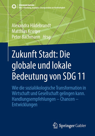Alexandra Hildebrandt, Matthias Krieger, Peter Bachmann - Zukunft Stadt: Die globale und lokale Bedeutung von SDG 11, Häftad