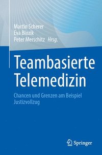 bokomslag Teambasierte Telemedizin