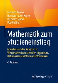 bokomslag Mathematik zum Studieneinstieg