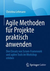 bokomslag Agile Methoden für Projekte praktisch anwenden