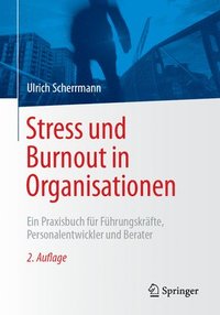 bokomslag Stress und Burnout in Organisationen