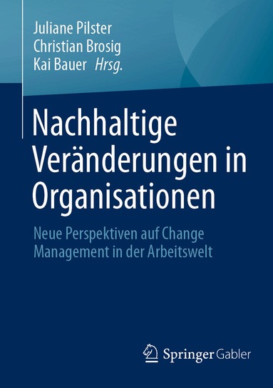 Juliane Pilster, Christian Brosig, Kai Bauer - Nachhaltige Veränderungen in Organisationen, Häftad