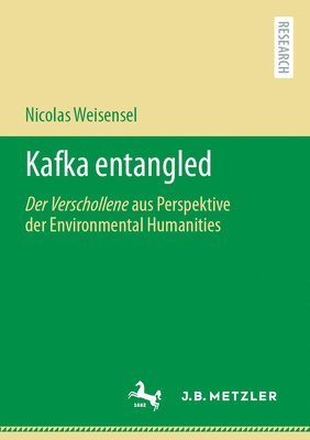 bokomslag Kafka entangled