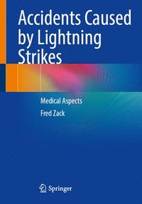 bokomslag Accidents Caused by Lightning Strikes