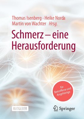 bokomslag Schmerz - eine Herausforderung