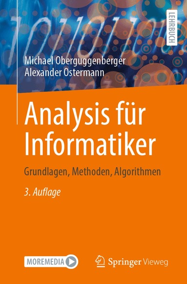 Michael Oberguggenberger, Alexander Ostermann - Analysis für Informatiker, Häftad