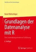 bokomslag Grundlagen der Datenanalyse mit R