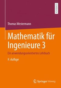 bokomslag Mathematik für Ingenieure 3