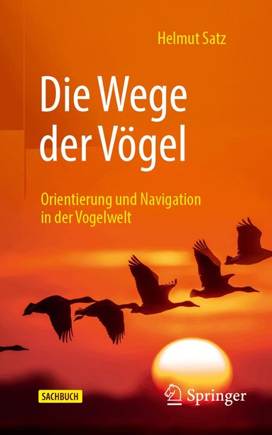 Helmut Satz - Die Wege der Vögel, Häftad
