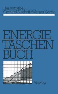 bokomslag Energietaschenbuch