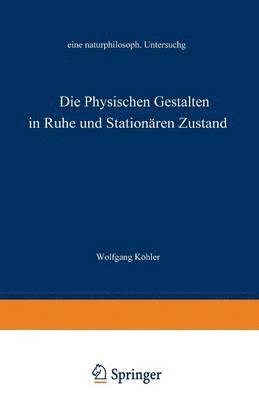 bokomslag Die physischen Gestalten in Ruhe und im stationren Zustand