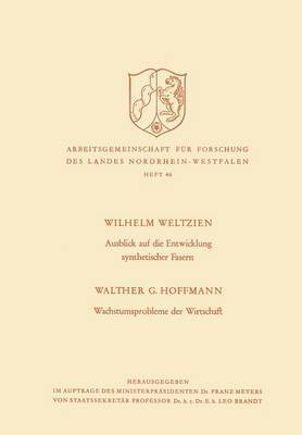 bokomslag Ausblick auf die Entwicklung synthetischer Fasern. Wachstumsprobleme der Wirtschaft