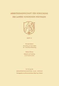 bokomslag Entwicklung Auf Dem Gebiet Der Chemiefaser-Herstellung: Rohstoff Und Veredlung in Der Textilwirtschaft