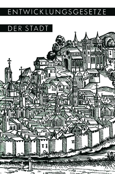 bokomslag Entwicklungsgesetze der Stadt