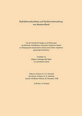 Rolf Schwiete - Hydrothermalsynthese Und Strukturuntersuchung Von Montmorillonit, Häftad