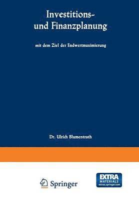 bokomslag Investitions- und Finanzplanung mit dem Ziel der Endwertmaximierung