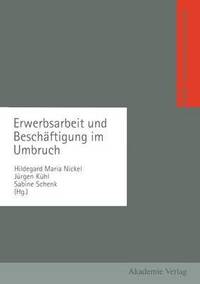 bokomslag Erwerbsarbeit und Beschftigung im Umbruch