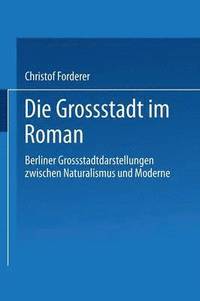 bokomslag Die Grossstadt im Roman
